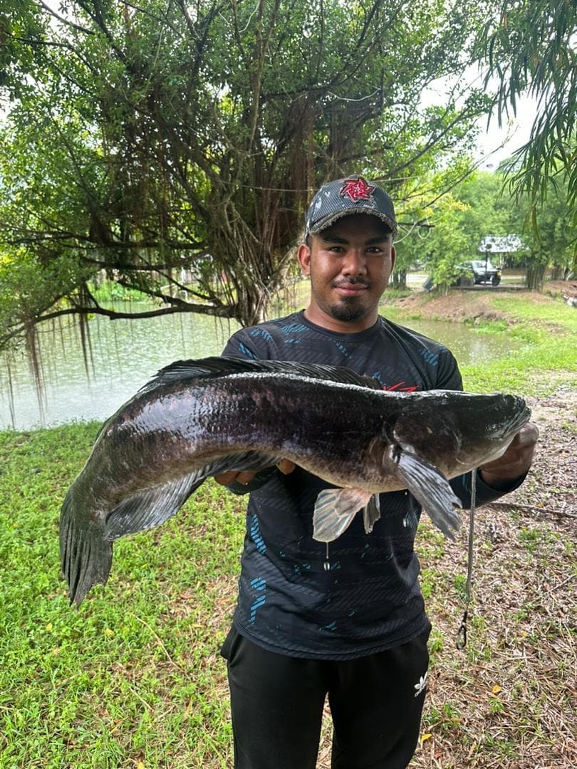 Mohd Fazrul Azuan